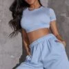 Basic Light Blue Short Sleeve Crop T Shirt